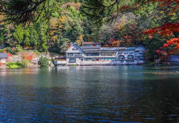 Güzel kırmızı akçaağaç yaprakları Kinrinko gölünde, oita, Japonya, sonbahar güneşli gününde