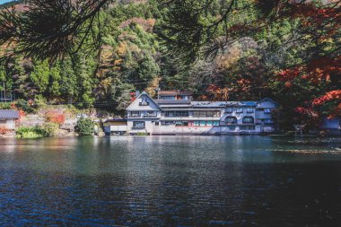 Güzel kırmızı akçaağaç yaprakları Kinrinko gölünde, oita, Japonya, sonbahar güneşli gününde