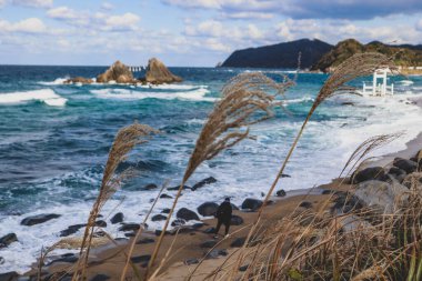 Yumuşak dalgalarla okyanusun manzarası, rüzgarda sallanan uzun otlar ve kabarık bulutlarla dolu canlı mavi bir gökyüzü. Mükemmel doğa ve mevsimsel arka plan.