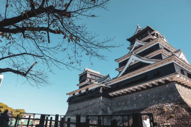 Açık mavi gökyüzüne karşı geleneksel mimarisi ile Japonya 'daki tarihi Kumamoto Kalesi.
