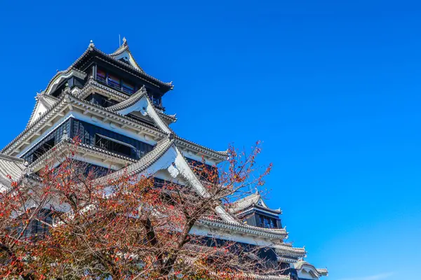 Açık mavi gökyüzüne karşı geleneksel mimarisi ile Japonya 'daki tarihi Kumamoto Kalesi.