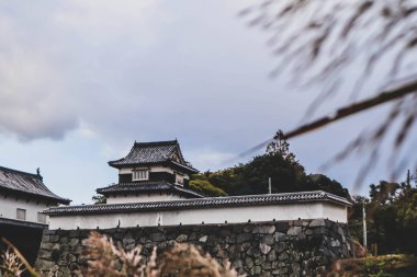 Taş Duvarları ve Mevsimlik Yaprakları olan Tarihi Japon Kalesi