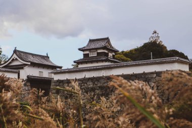Taş Duvarları ve Mevsimlik Yaprakları olan Tarihi Japon Kalesi