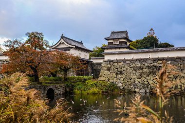 Taş Duvarları ve Mevsimlik Yaprakları olan Tarihi Japon Kalesi