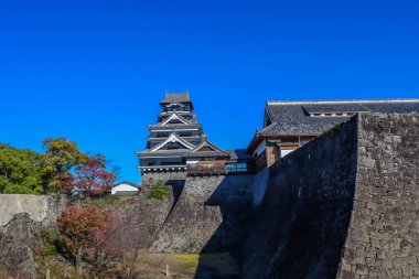 Açık mavi gökyüzüne karşı geleneksel mimarisi ile Japonya 'daki tarihi Kumamoto Kalesi.