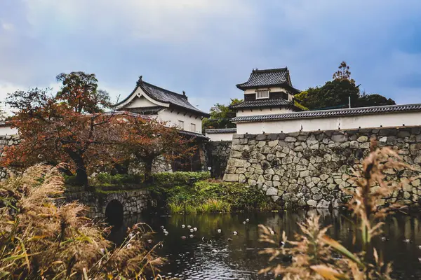 Taş Duvarları ve Mevsimlik Yaprakları olan Tarihi Japon Kalesi