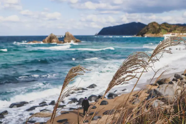 Yumuşak dalgalarla okyanusun manzarası, rüzgarda sallanan uzun otlar ve kabarık bulutlarla dolu canlı mavi bir gökyüzü. Mükemmel doğa ve mevsimsel arka plan.
