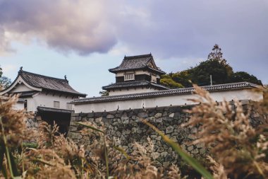 Taş Duvarları ve Mevsimlik Yaprakları olan Tarihi Japon Kalesi