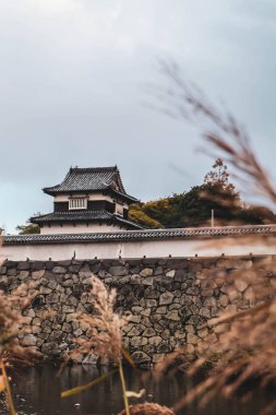 Taş Duvarları ve Mevsimlik Yaprakları olan Tarihi Japon Kalesi