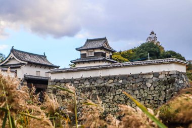 Taş Duvarları ve Mevsimlik Yaprakları olan Tarihi Japon Kalesi