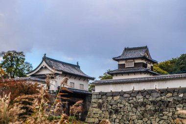 Taş Duvarları ve Mevsimlik Yaprakları olan Tarihi Japon Kalesi