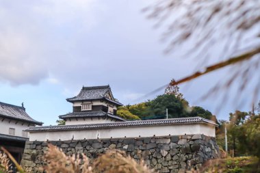 Taş Duvarları ve Mevsimlik Yaprakları olan Tarihi Japon Kalesi
