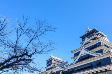Kumamoto Kalesi Japonya 'nın Kyushu şehrindeki en etkileyici kalelerden biridir..