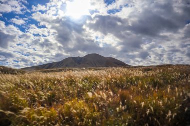 Kuşasenri çim tarlası ve aktif volkanlarla dolu dağ