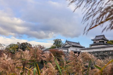Taş Duvarları ve Mevsimlik Yaprakları olan Tarihi Japon Kalesi