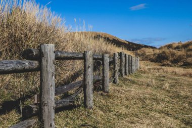 Aso Çayırlarının Sonbaharda Manzarası, Kumamoto, Japonya