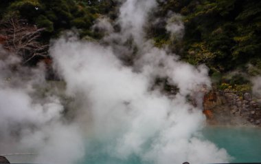 Üç Renkli Ev Kedisi Temizleyen Pençe Kapalı Kapılar Arası Hijyen Anı