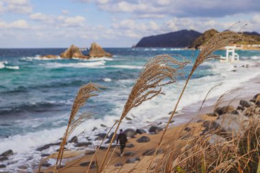 Yumuşak dalgalarla okyanusun manzarası, rüzgarda sallanan uzun otlar ve kabarık bulutlarla dolu canlı mavi bir gökyüzü. Mükemmel doğa ve mevsimsel arka plan.