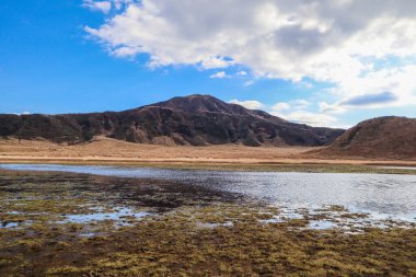 Aso-Kuju Ulusal Parkı 'nda Sonbaharda Aktif Volkan ve Altın Çimen Sahası Manzarası
