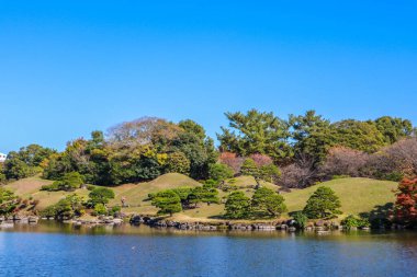 Geleneksel Japon Parkı 'nda Ağaçlı Huzurlu Zen Bahçesi ve Gölü