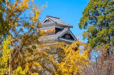 Kumamoto 'daki Sonbahar Ağaçlarıyla çevrili Tarihi Japon Mimarisi