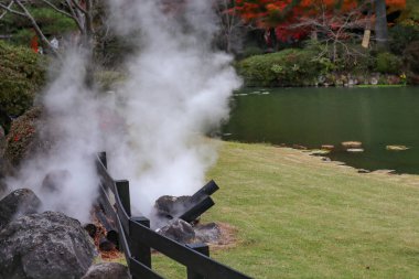 Umi Jigoku 'daki bahçe ya da içinde sıcak su bulunan bir gölet..