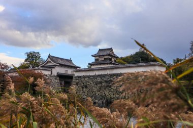 Taş Duvarları ve Mevsimlik Yaprakları olan Tarihi Japon Kalesi