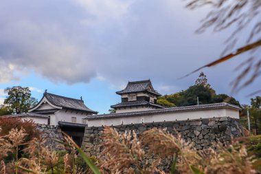 Taş Duvarları ve Mevsimlik Yaprakları olan Tarihi Japon Kalesi