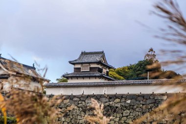 Taş Duvarları ve Mevsimlik Yaprakları olan Tarihi Japon Kalesi