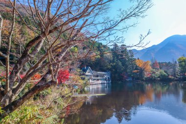 Sakin Göl, Renkli Ağaçlar ve Dağ Manzaralı Güzel Sonbahar Manzarası