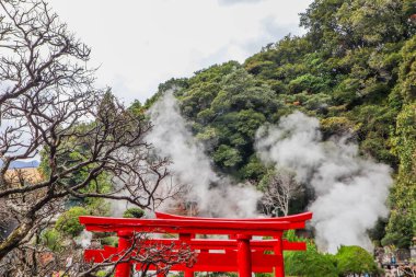 Geleneksel kırmızı torii kapısı. Sis ve yeşil ağaçlarla çevrili.
