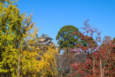 Japon Tarihi Kumamoto Şatosu Parlak Mavi Gökyüzüne ve Canlı Düşen Renklere Karşı