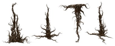 Beyaz bir arkaplanda izole edilmiş 3B karmaşık kökler 