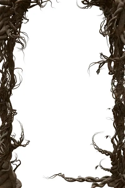 Beyaz arkaplanda izole edilmiş kökten yapılmış 3 boyutlu bir fantezi çerçevesi. 