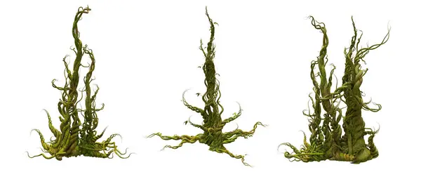 Beyaz bir arkaplanda izole edilmiş 3B karmaşık kökler 