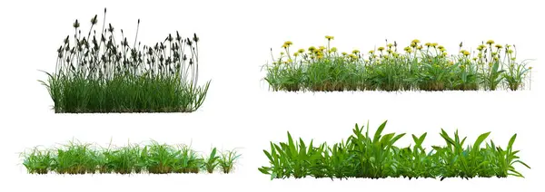 3D farklı çim örtüleri beyaz bir arkaplanda izole edildi