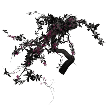 Şeffaf arkaplanda izole edilmiş üç boyutlu koyu ağaç dalları çizimi