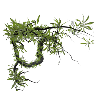 Saydam arkaplanda izole edilmiş 3 boyutlu fantezi yeşil dallar