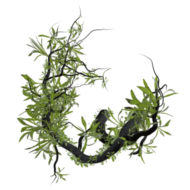 Saydam arkaplanda izole edilmiş 3 boyutlu fantezi yeşil dallar