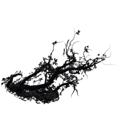 Şeffaf arkaplanda izole edilmiş üç boyutlu koyu ağaç dalları çizimi