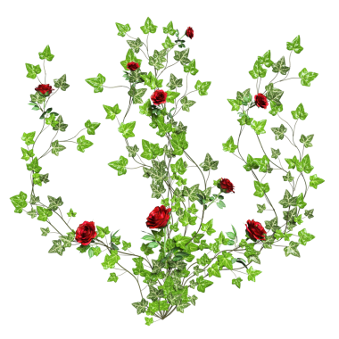 Şeffaf arkaplanda izole edilmiş kırmızı güllü 3 boyutlu sarmaşık çizimi