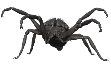 3D oluşturulmuş fantezi karanlık örümcek şeffaf arka planda izole