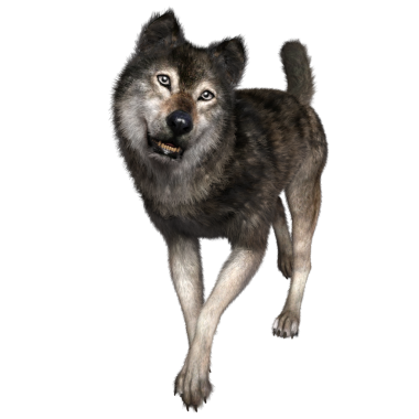 Şeffaf arkaplanda 3 boyutlu kahverengi kurt izole edildi