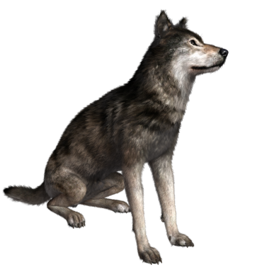 Şeffaf arkaplanda 3 boyutlu kahverengi kurt izole edildi