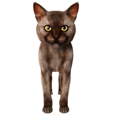 3 boyutlu sevimli kedi şeffaf arkaplanda izole edildi 