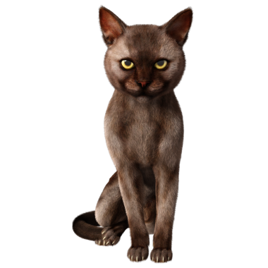 3 boyutlu sevimli kedi şeffaf arkaplanda izole edildi 