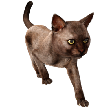 3 boyutlu sevimli kedi şeffaf arkaplanda izole edildi 