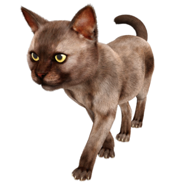 3 boyutlu sevimli kedi şeffaf arkaplanda izole edildi 