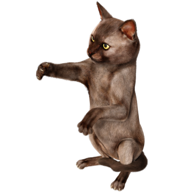3 boyutlu sevimli kedi şeffaf arkaplanda izole edildi 