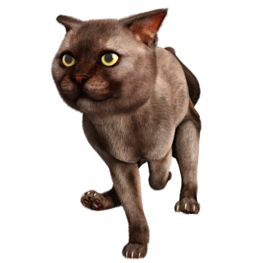 3 boyutlu sevimli kedi şeffaf arkaplanda izole edildi 